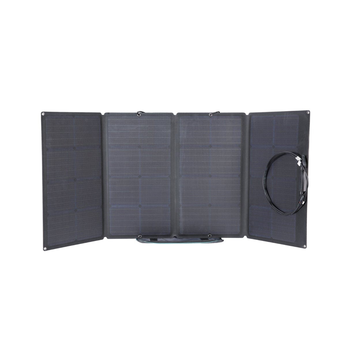 ECOFLOW 160W Solar Panel Bild 2