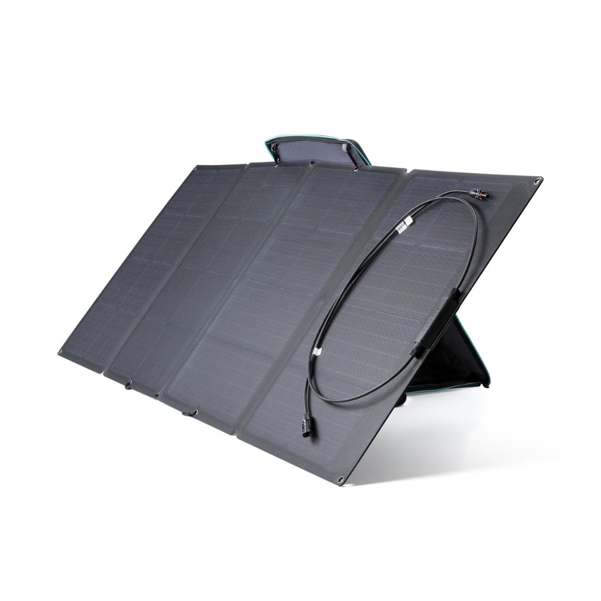 ECOFLOW 160W Solar Panel Bild 3