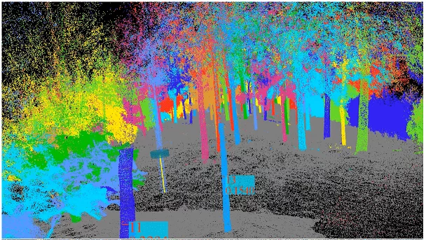 GREENVALLEY LiDAR360 Forestry image 2_EPOTRONIC