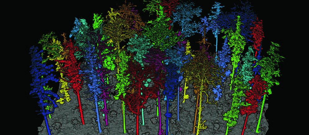 GREENVALLEY LiDAR360 Forestry Perpetual image 3_EPOTRONIC