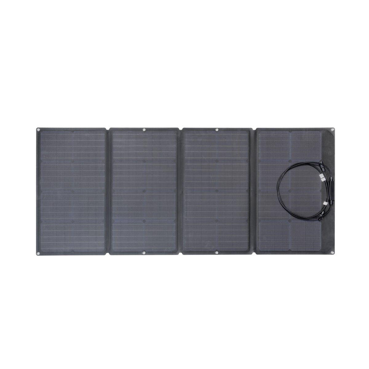 ECOFLOW 160W Solar Panel Bild 1